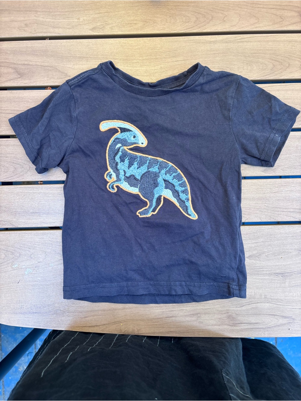 Dinosaur appliqué tee